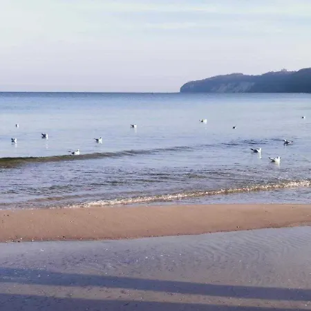 Apartment Mohnblume *