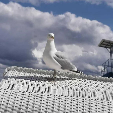 Mohnblume Apartamento *